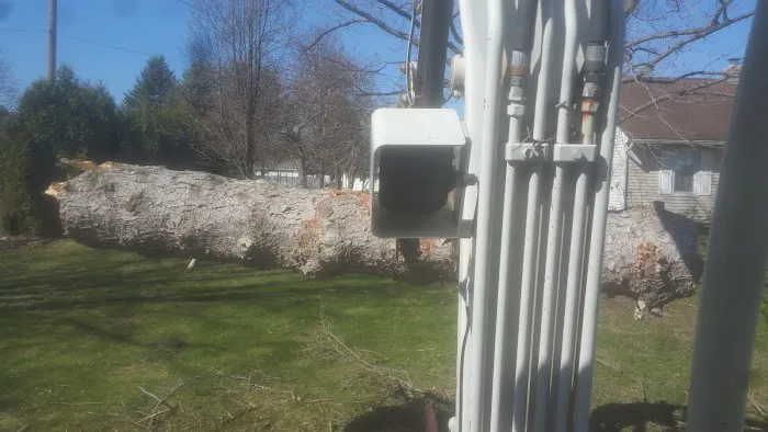 Falkowski Sewer Service & Excavating Picture 8