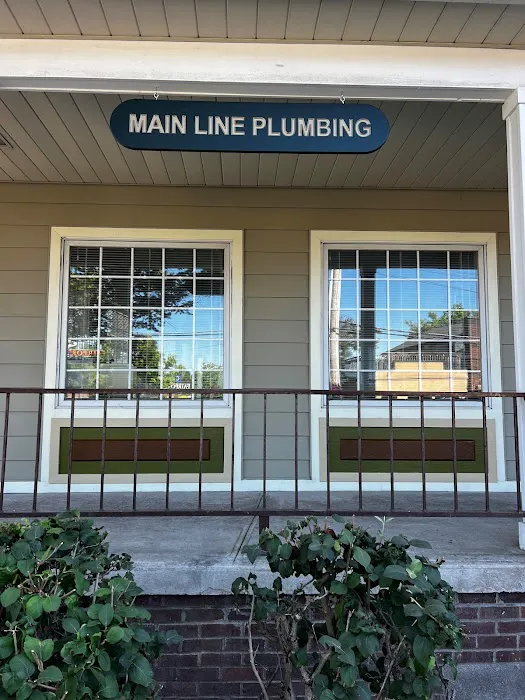 Main Line Plumbing Picture 8