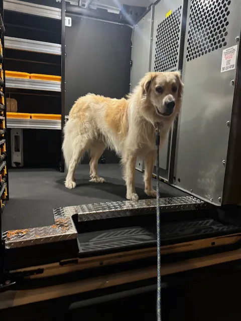 Yellow Dog Plumbing, Heating & Cooling Picture 5