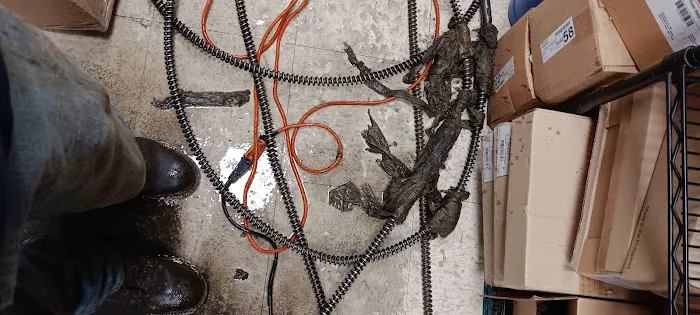 P M Drain Cleaning Picture 5