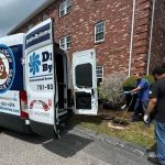 Drains By James Inc.