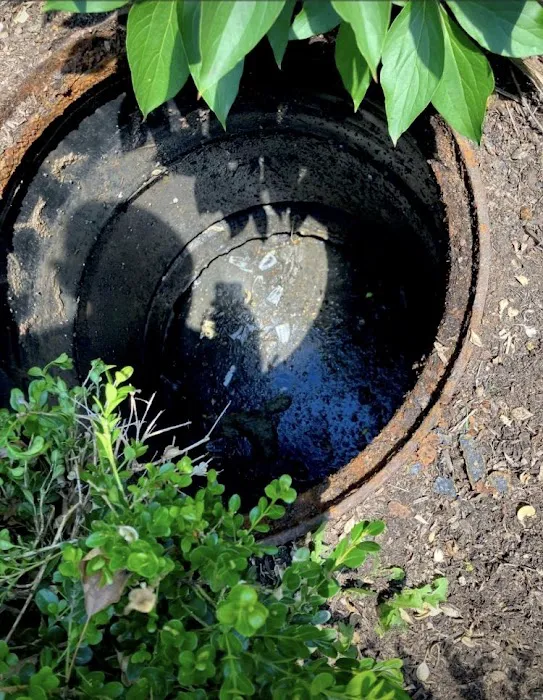 Drain-A-Max Picture 5