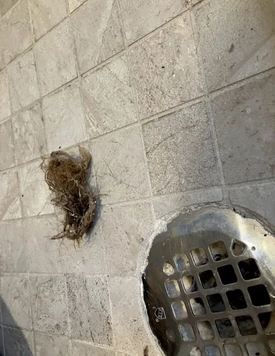 Drain-A-Max Picture 2