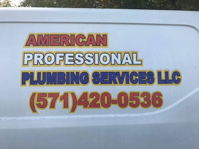 American Professional Plumbing Services Llc Picture 1