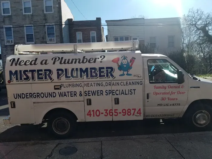 Mr Plumber & Son Picture 1