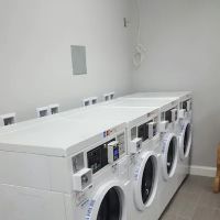 Freeline Plumbing Services ico