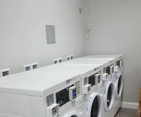 Freeline Plumbing Services