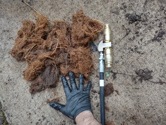 Rooter-Man Picture 2