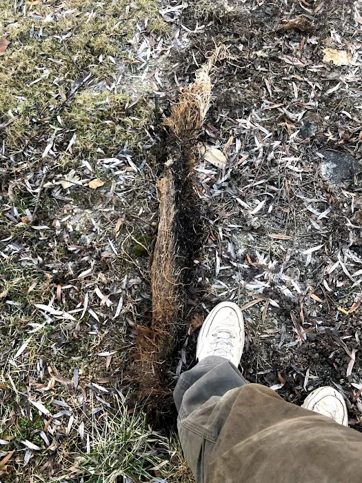 Jeff's Drains Picture 7