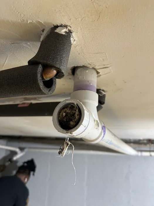 Drain Remedy Inc Picture 3
