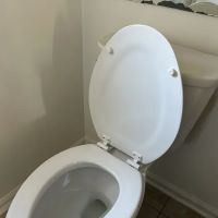 Laurel Plumbing Inc. ico