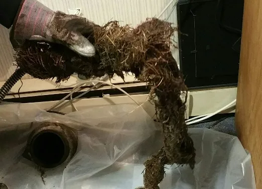 Just Drains Picture 4