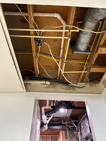 Bear-Force Plumbing N Drain Picture 1