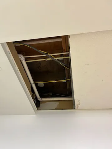 Bear-Force Plumbing N Drain Picture 3