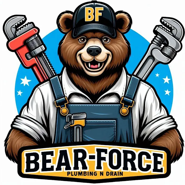 Bear-Force Plumbing N Drain Picture 5