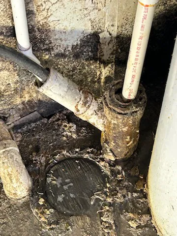 Bear-Force Plumbing N Drain Picture 4