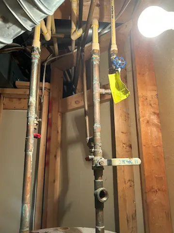 Bear-Force Plumbing N Drain Picture 8
