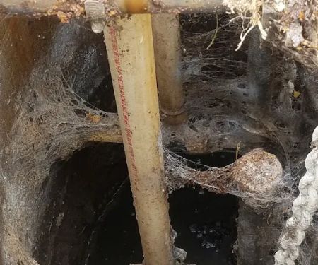 Magnolia Plumbing, Heating & Cooling