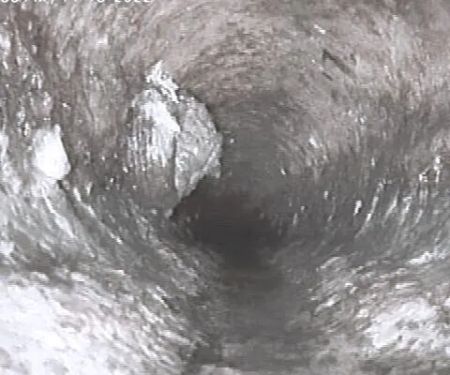 Top Tier Trenchless Sewer and Water Line Repair