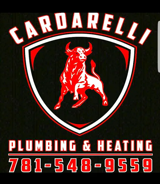 Cardarelli Plumbing & Heating Picture 4