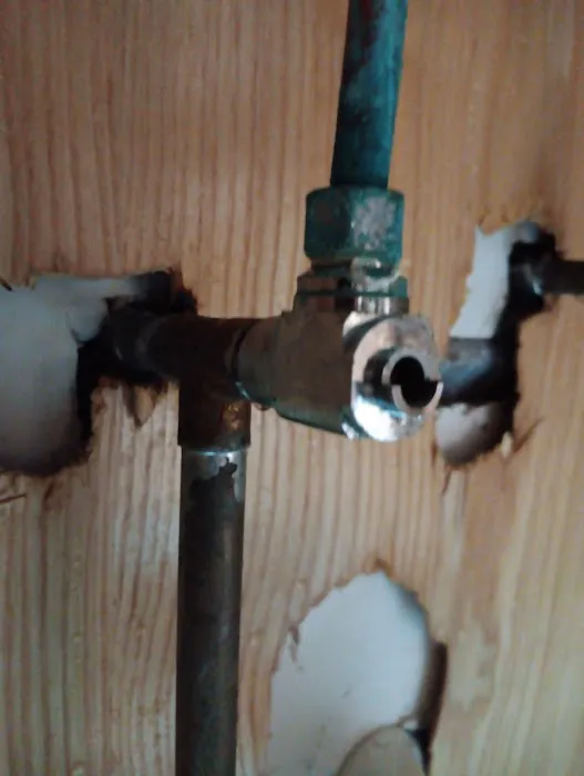 ProSolutions Bath & Boiler Picture 4