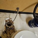 Emerald Plumbing Co.