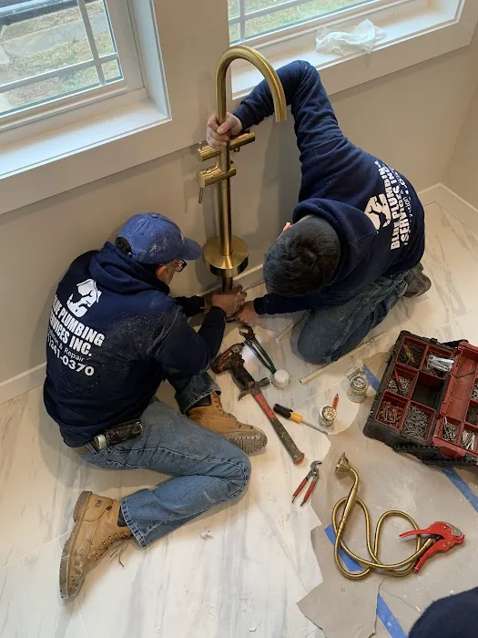Blue Plumbing Services inc Picture 1
