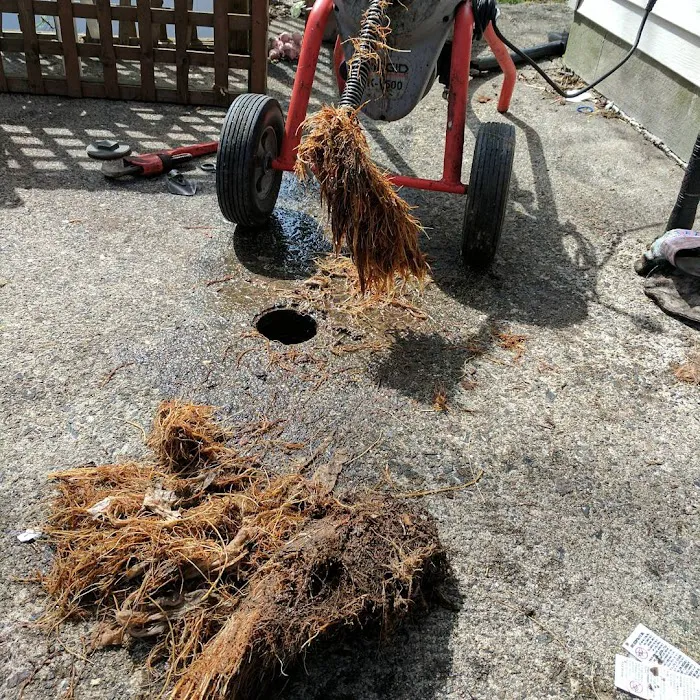 Quality Sewer & Drain, Inc Picture 2