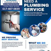 Bushi Plumbing Heating & Cooling ico