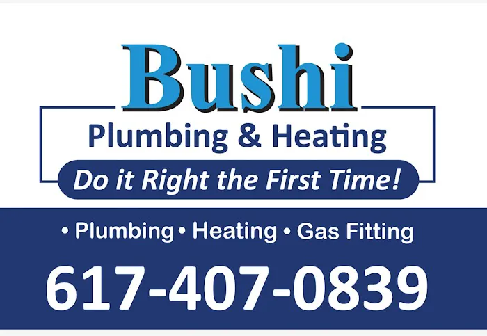 Bushi Plumbing Heating & Cooling Picture 8