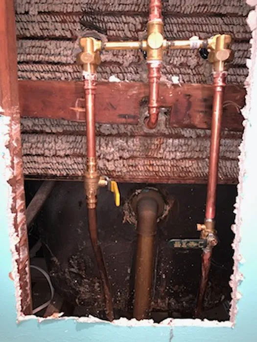 Alexandria Plumbing Pro Services Picture 4