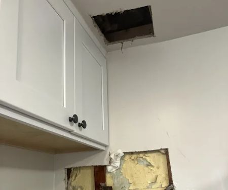 Brownlee Plumbing LLC