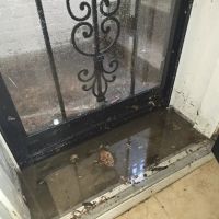Roto-Rooter Plumbing & Water Cleanup ico