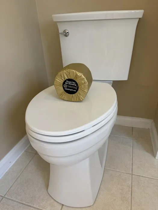 ToiletKingVA, LLC Picture 1