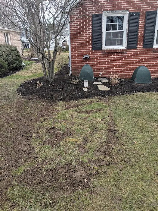 Superior Plumbing & Rooter Service Picture 8