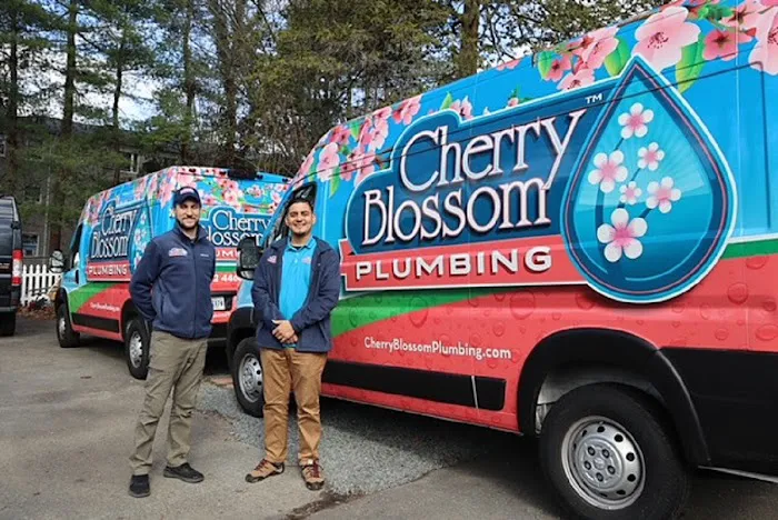 Cherry Blossom Plumbing Picture 2