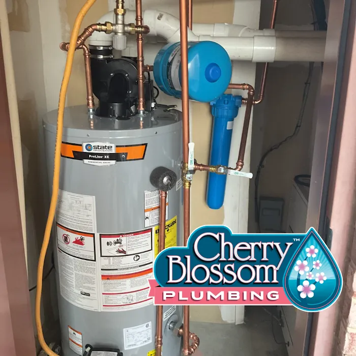 Cherry Blossom Plumbing Picture 6