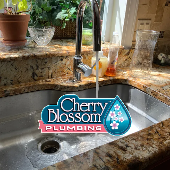 Cherry Blossom Plumbing Picture 7
