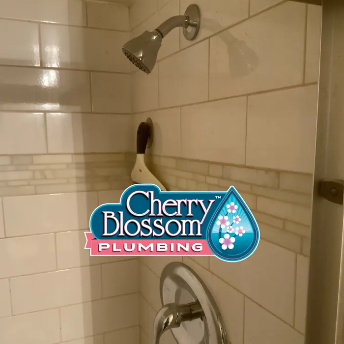 Cherry Blossom Plumbing Picture 10