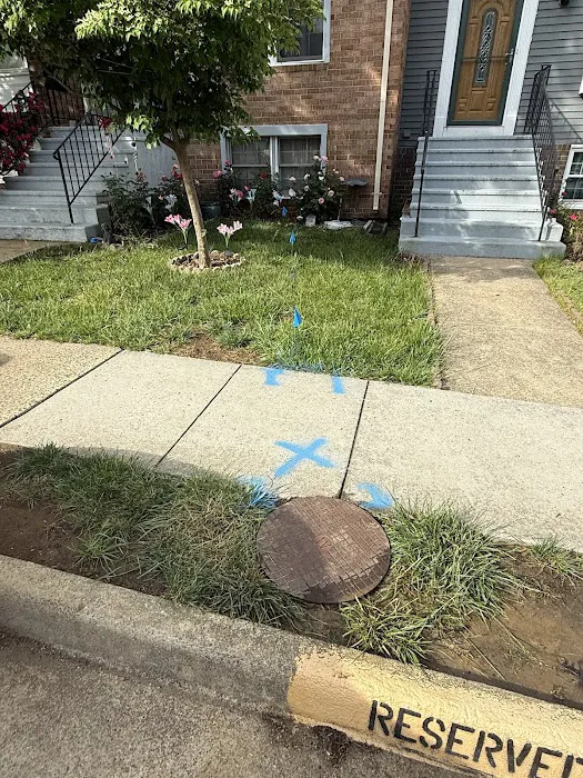 Home Service Pros - Quality Sewer & Drain Picture 4