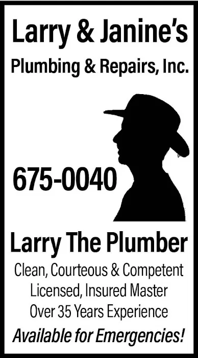 Larry & Janine's Plumbing & Repairs, Inc. Picture 3