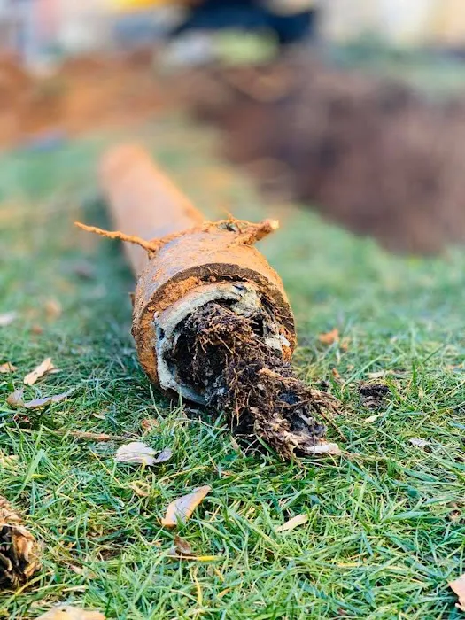 Arlington Plumbing Heating and Cooling Picture 6