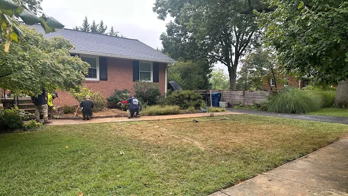 The Pipe Doctor Plumbing & Drain Cleaning Services Picture 7