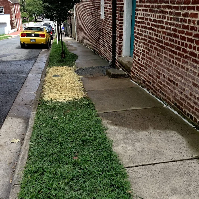 Atlantic Green LLC Picture 9