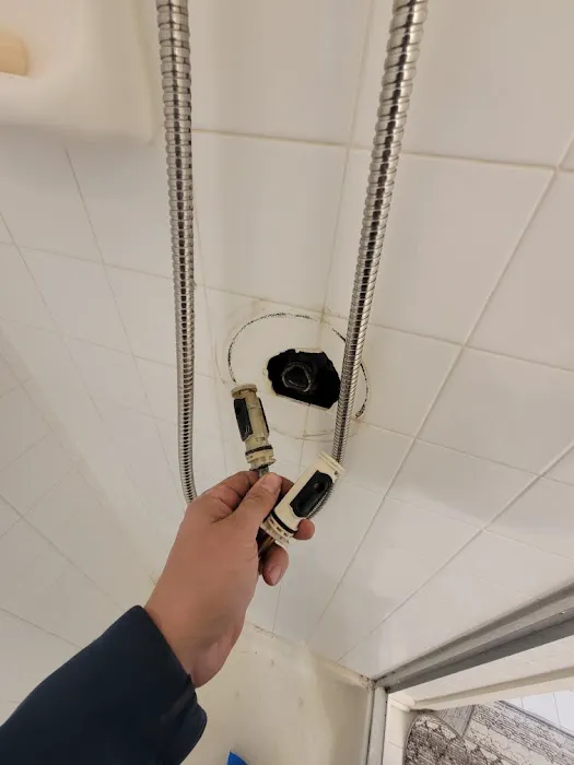 PlumberBee Picture 5