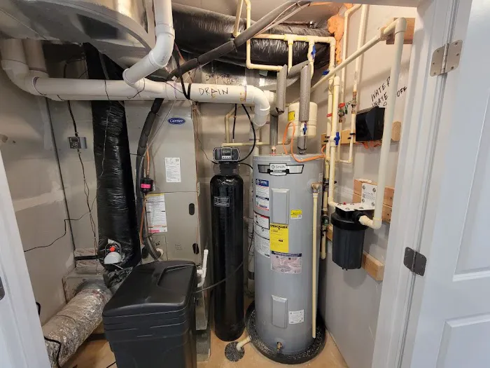 PlumberBee Picture 6