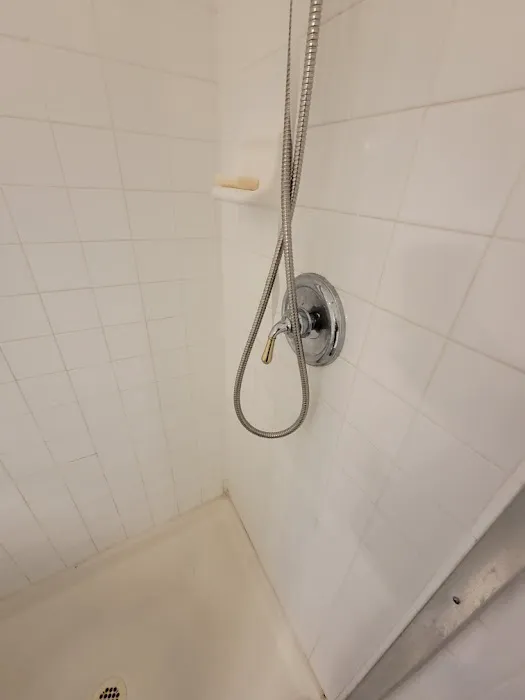 PlumberBee Picture 4