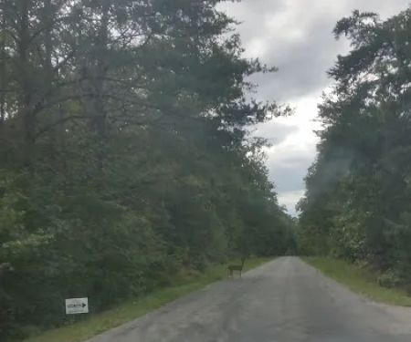 D & D Plumbing Repair & Drain