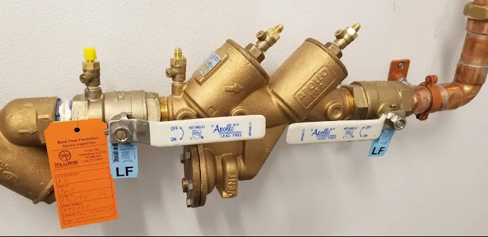 Plumb Perfection Picture 10