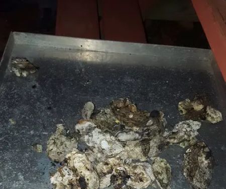 J B Plumbing Services Inc